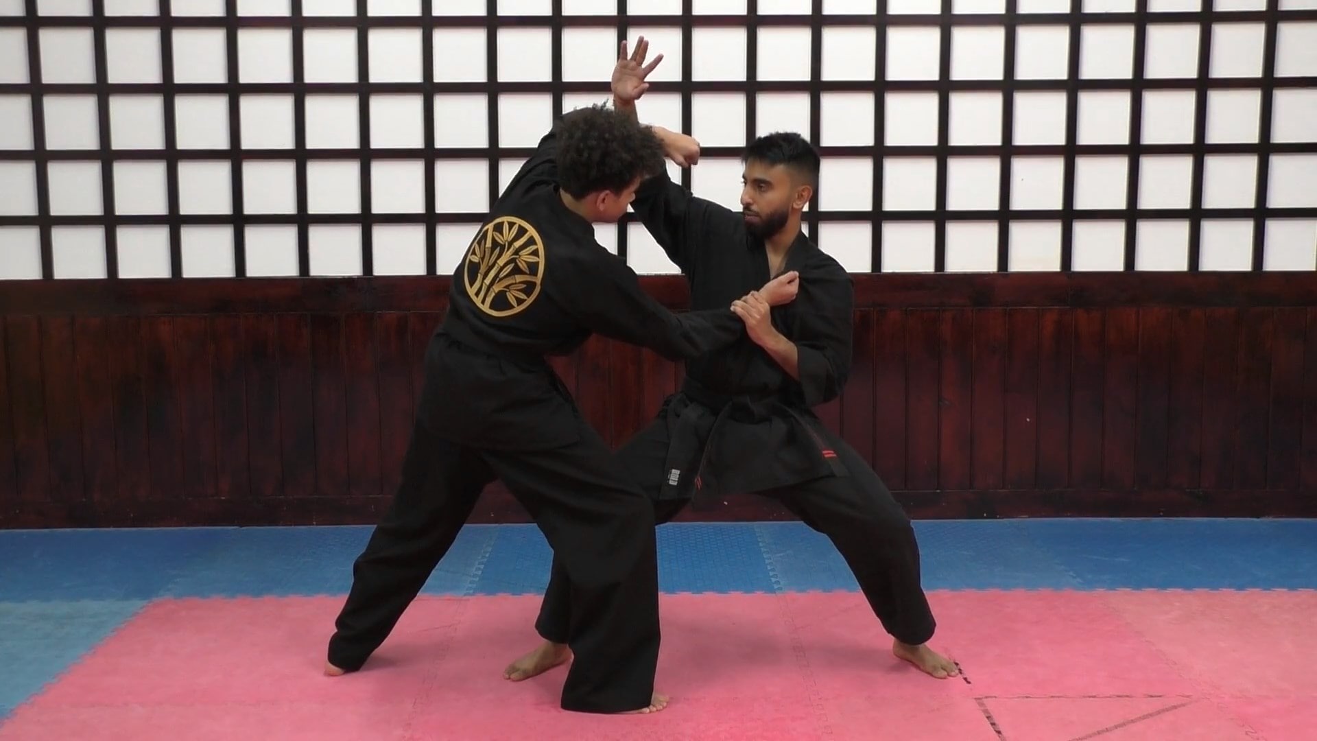 Strike from Single Lapel with Punch (In Steps)