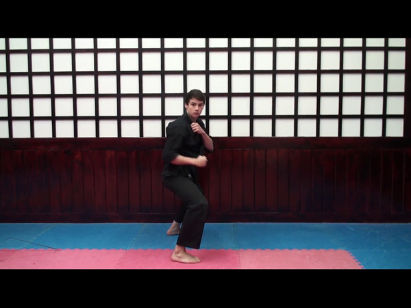 Double Lapel Kata Demonstration