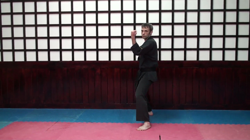 Single Lapel Kata Demonstration