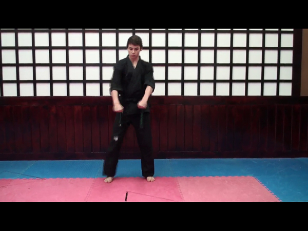 Straight Punch Kata Demonstration